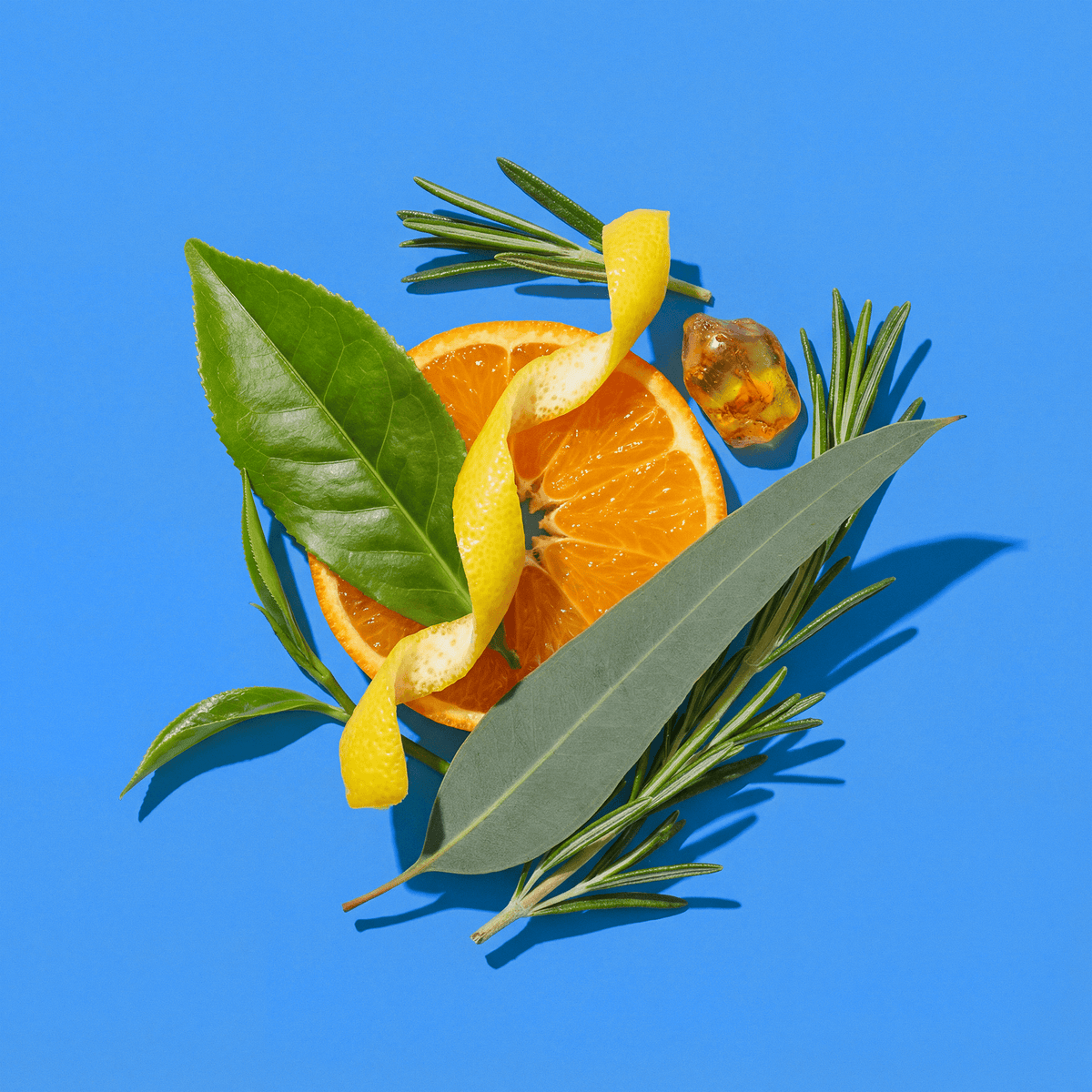 Fresh orange slice surrounded by green leaves and rosemary on a blue background.